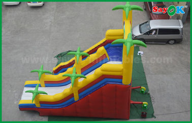 Da corrediça inflável comercial exterior do leão-de-chácara do gigante da corrediça 5 x 8 das crianças corrediça dobro inflável
